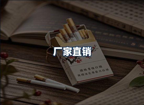 专业团队办公环境